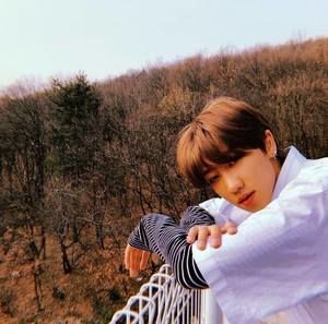 Meet your Posher, Ann